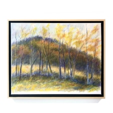 Jeanne McMahan Fall Colors on the Mountain