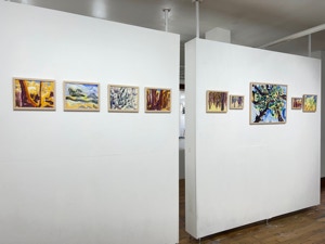 MC Noyes Vermont Trees Solo Show