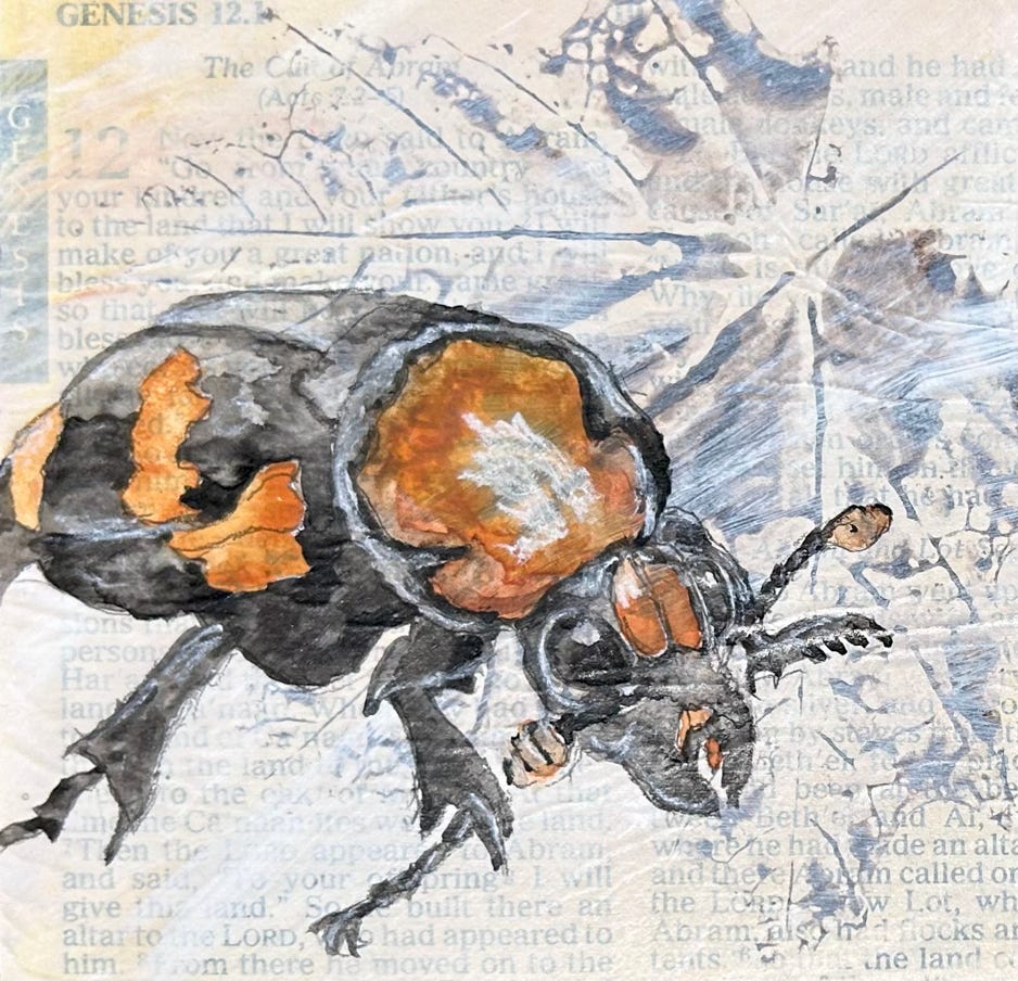Jeanette Staley Artist American Burying Beetle 3