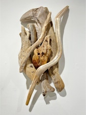 Phyllis Rosser Sea Lyre