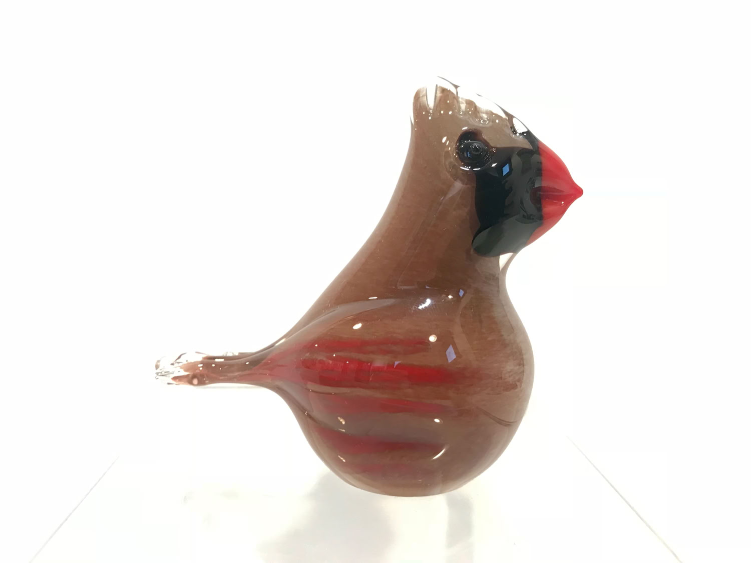 Chris Sherwin Female Cardinal (small)