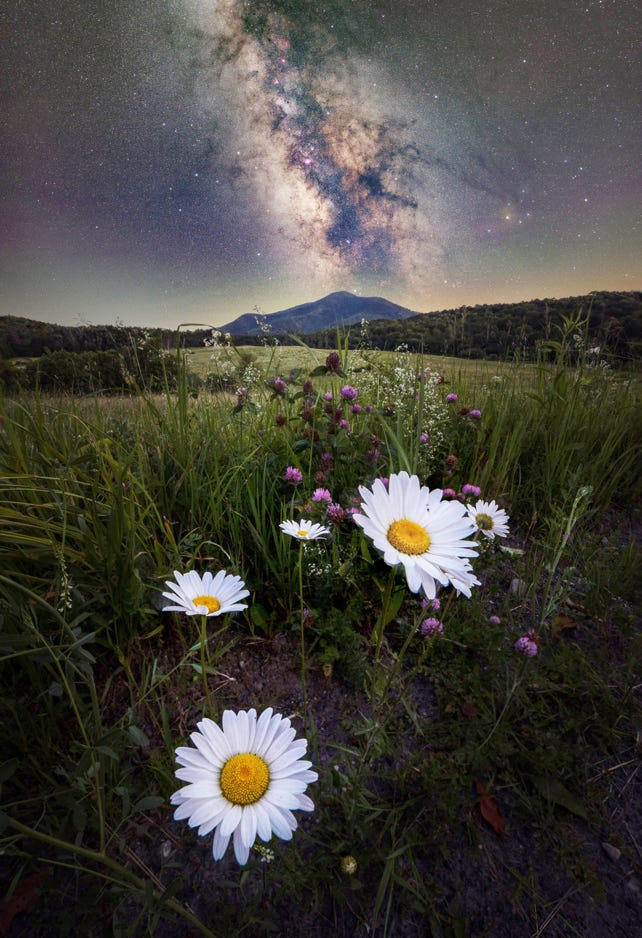 Dorian Sanders Daisy Chain