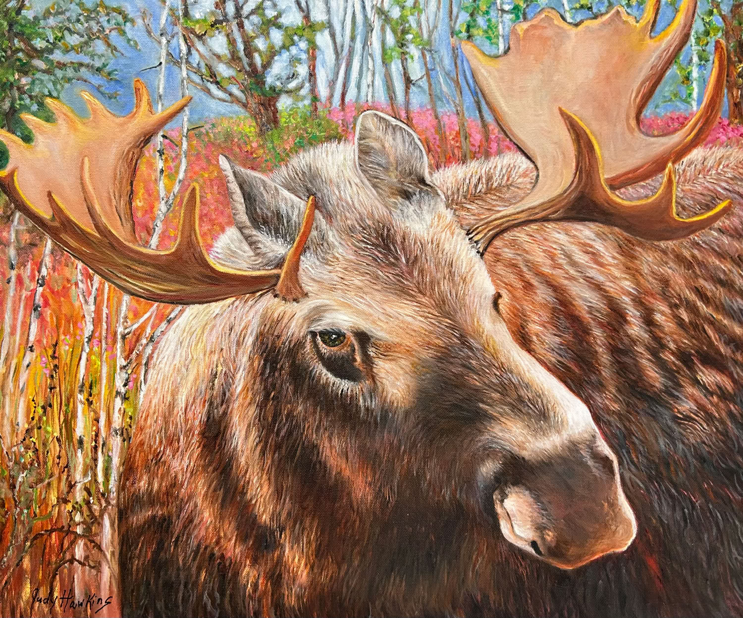 Judy Hawkins Moose