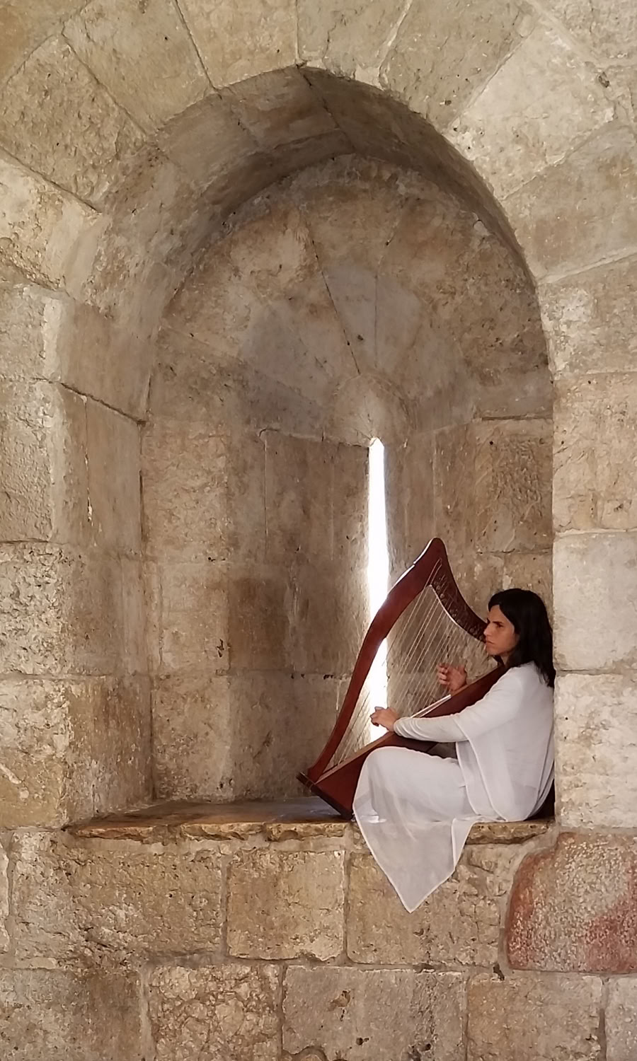 Don Kalfus Jerusalem Harpist