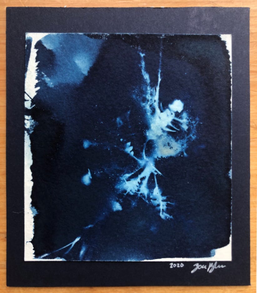 zoee-blossom_splattered-roots
