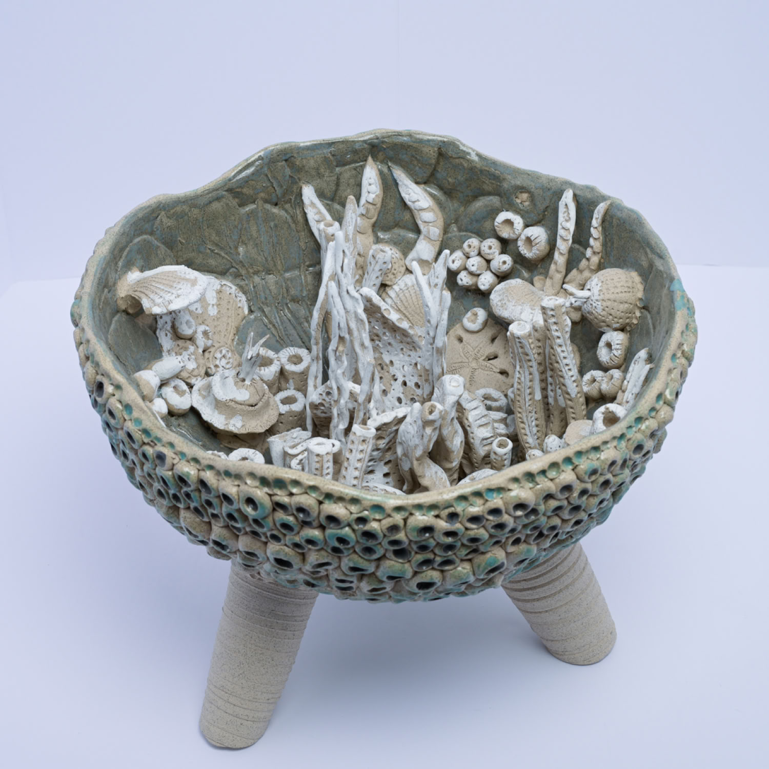 Caren Helm “Ghostly Reef” Our Vanishing Coral Reefs (collection, 2)