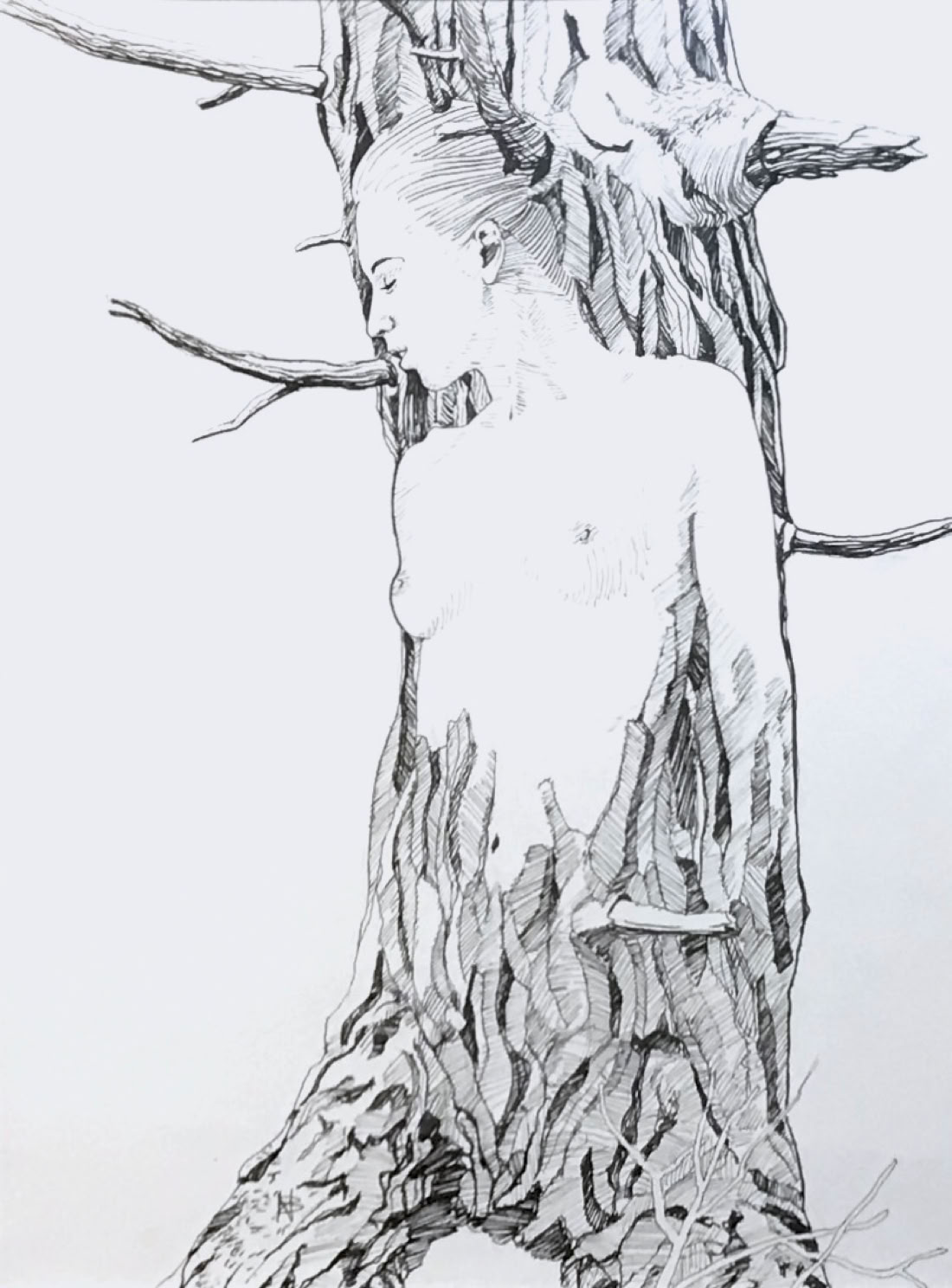 Charles Norris-Brown Vermont Dryad 2021