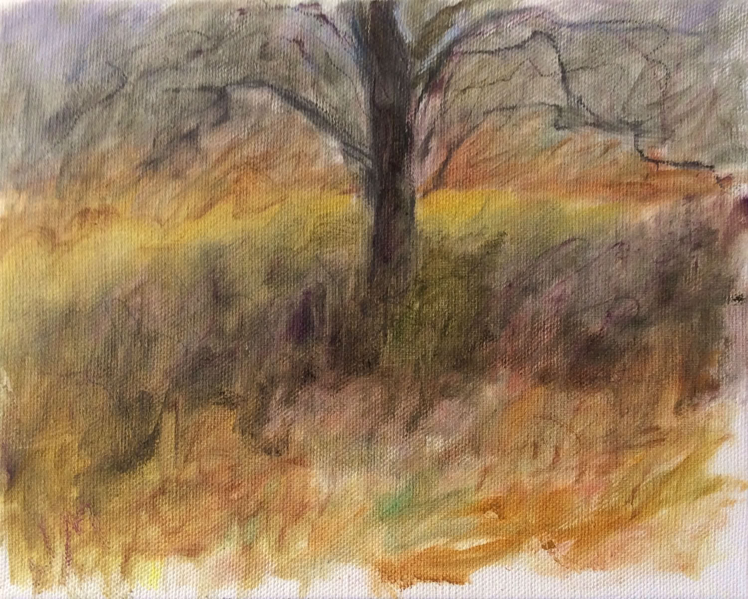 jeanne-mcmahan_apple-tree-early-spring_2020_oil-on-canvas_8x10in