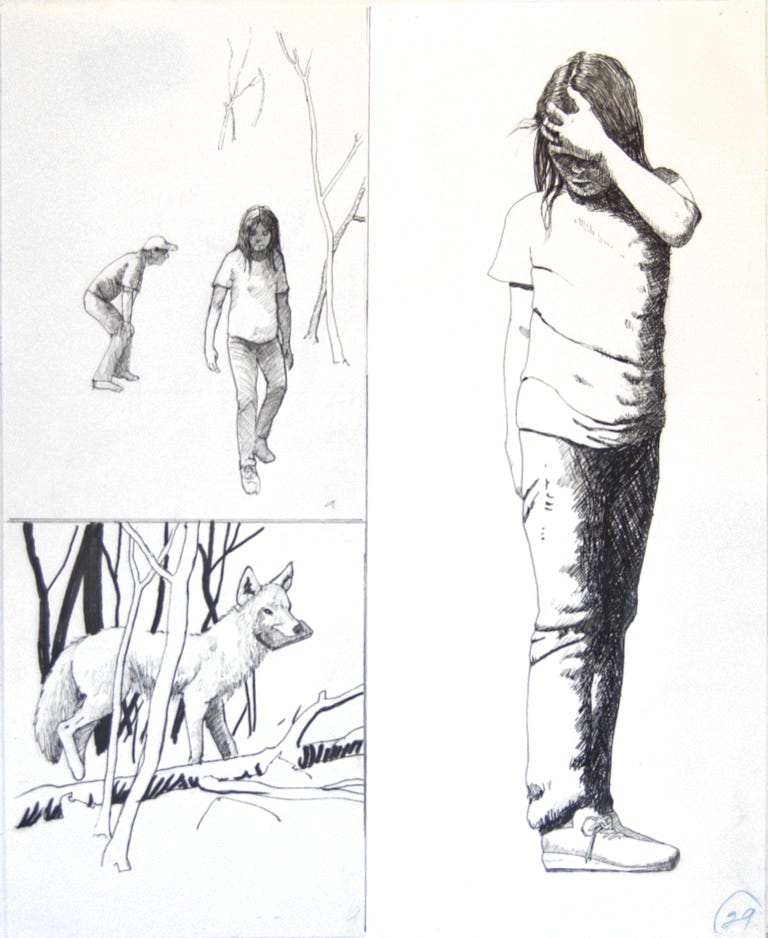 Charles Norris-Brown Thunder Basin, page 29 graphics