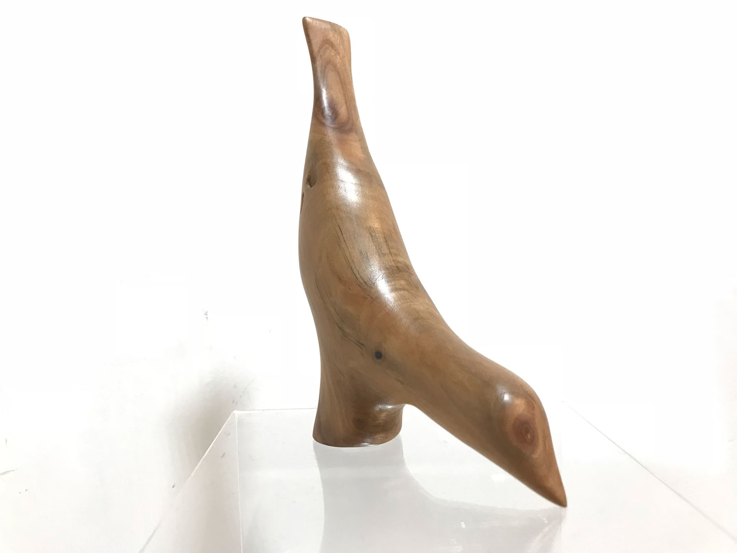 Deborah Bump Apple eating