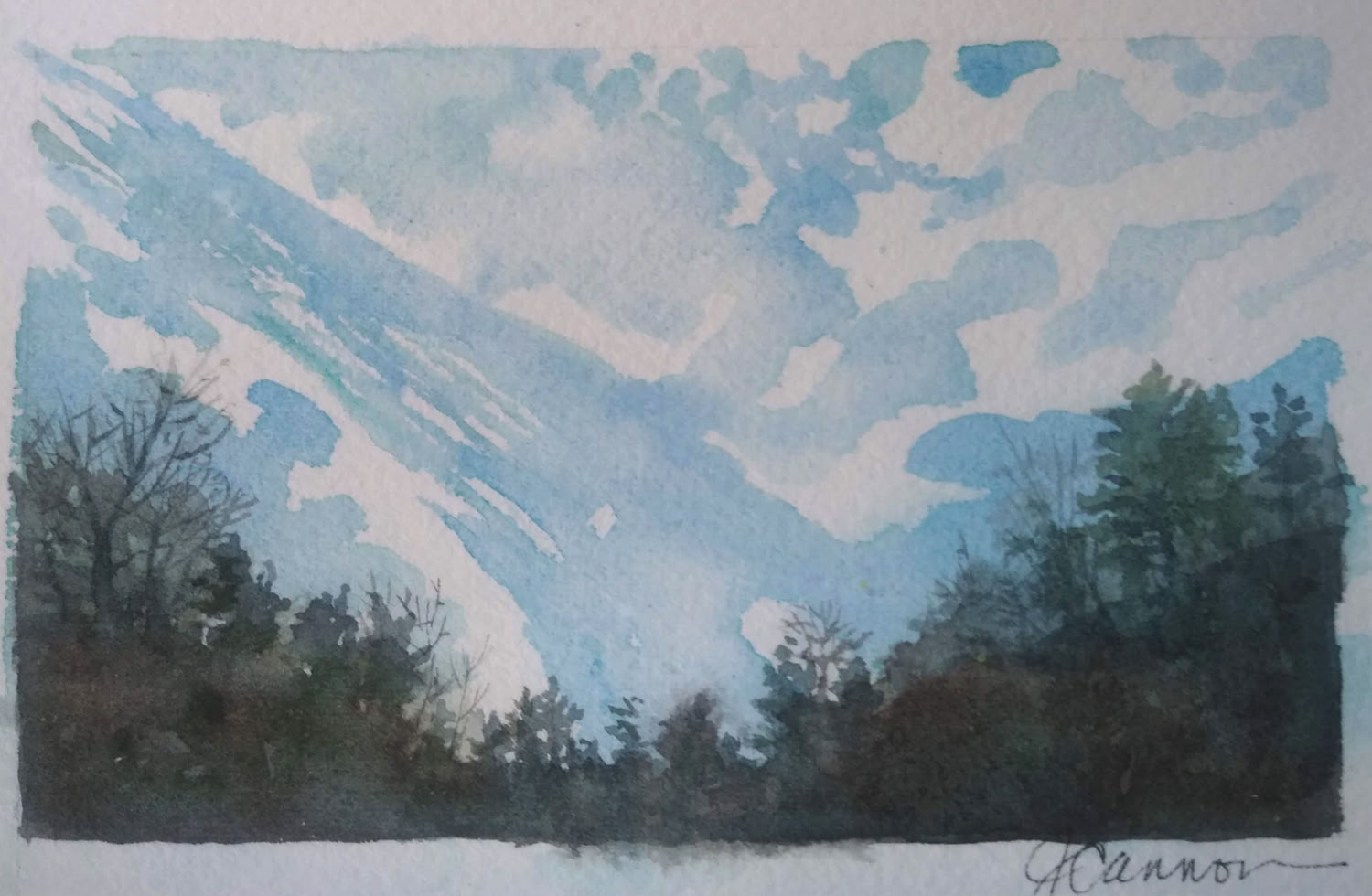 Jean Cannon Winter Sky