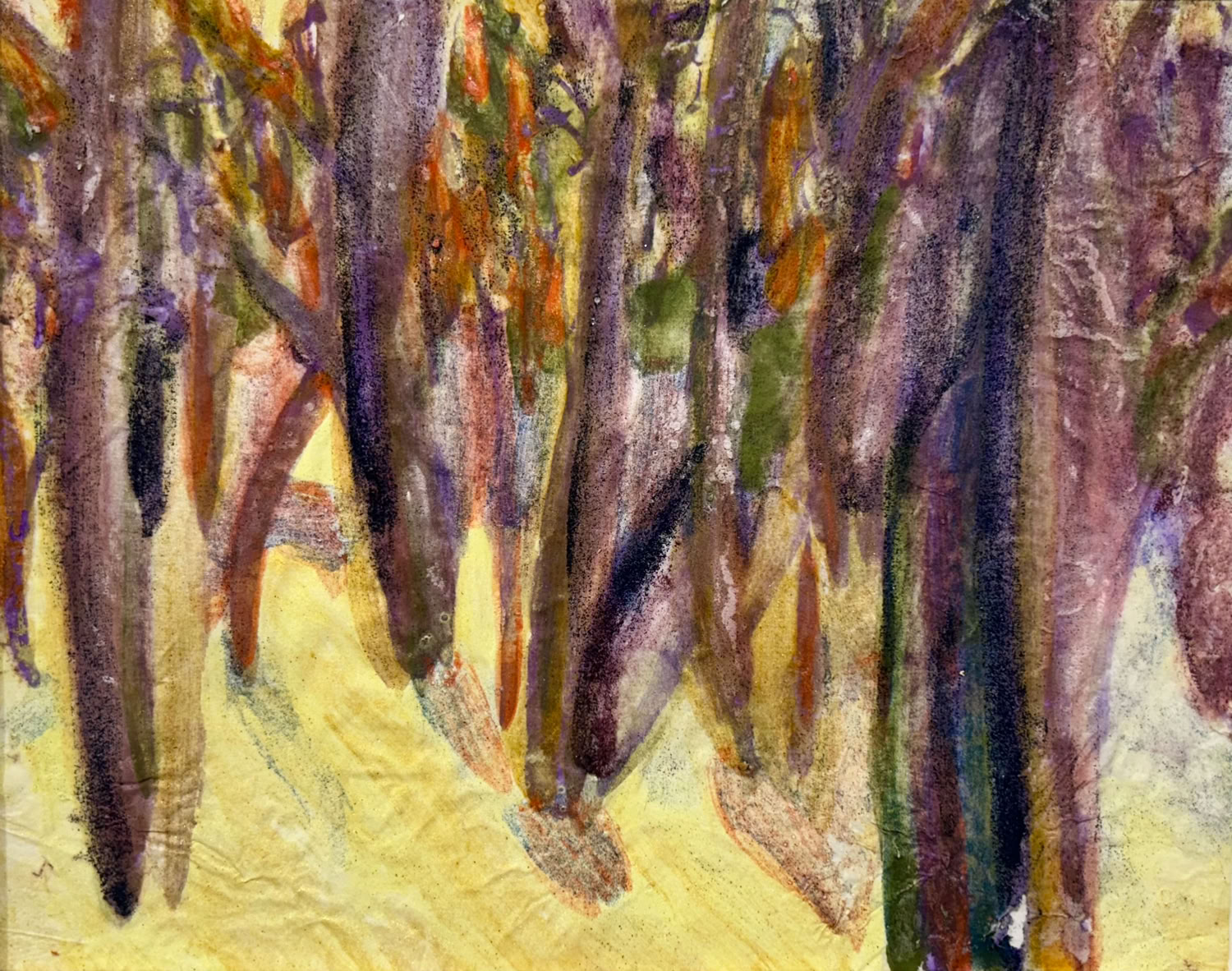 MC Noyes Vermont Trees 61 