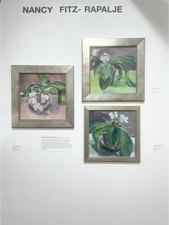 Nancy Fitz-Rapalje Solo Show