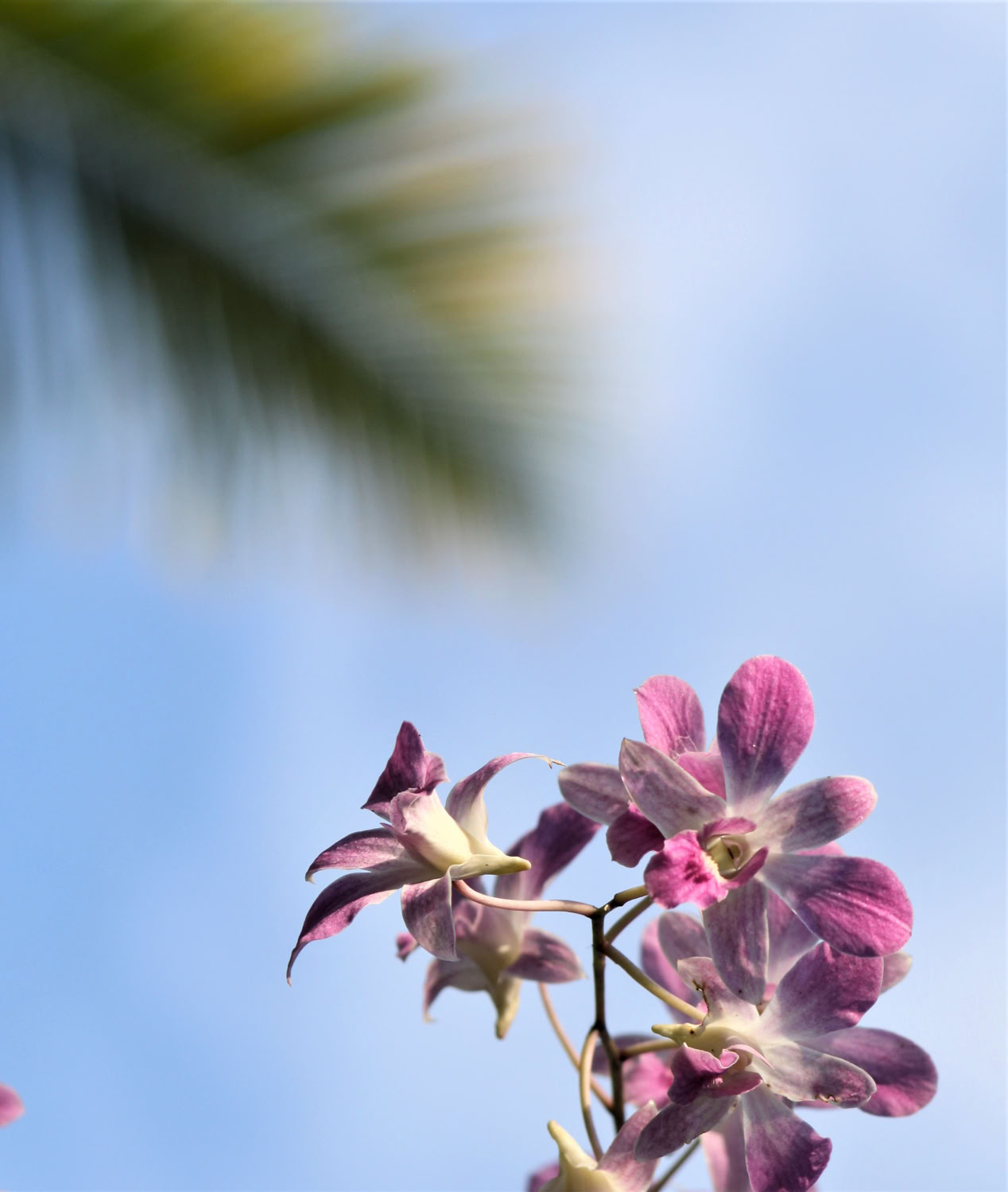 spaulding-dunbar_with-you_2019_archival-print-with-uv-protective-laminate_16x20in