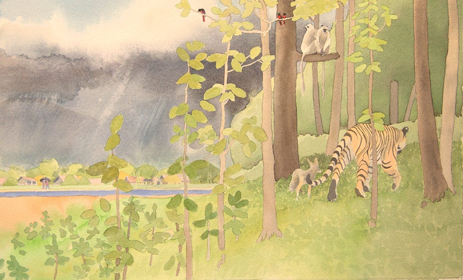 Charles Norris-Brown Did Tiger Take the Rain?, page 30 and 31