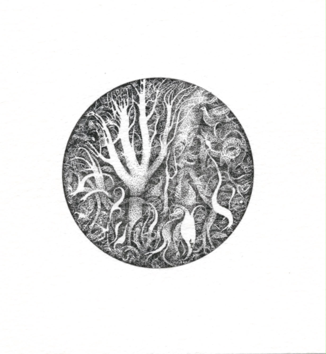 Gil Perry In the Garden