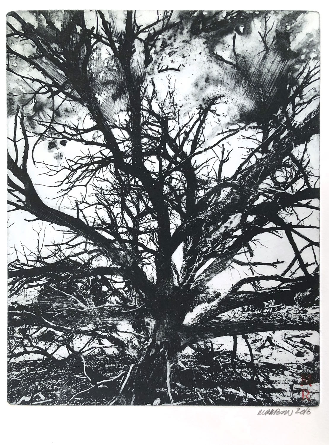 Melissa Rubin Burning Bush #1