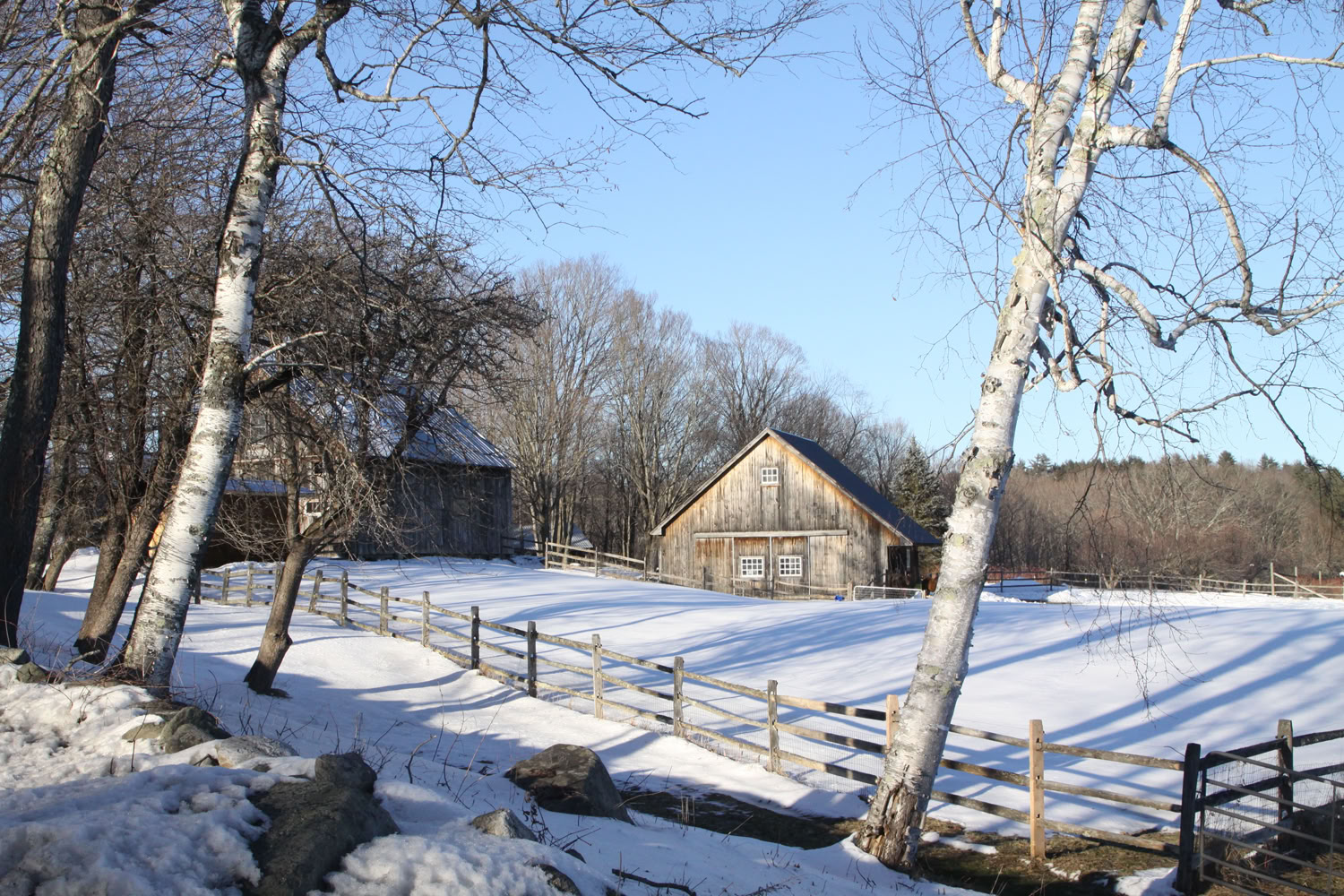 Don Kalfus After the Snowfall