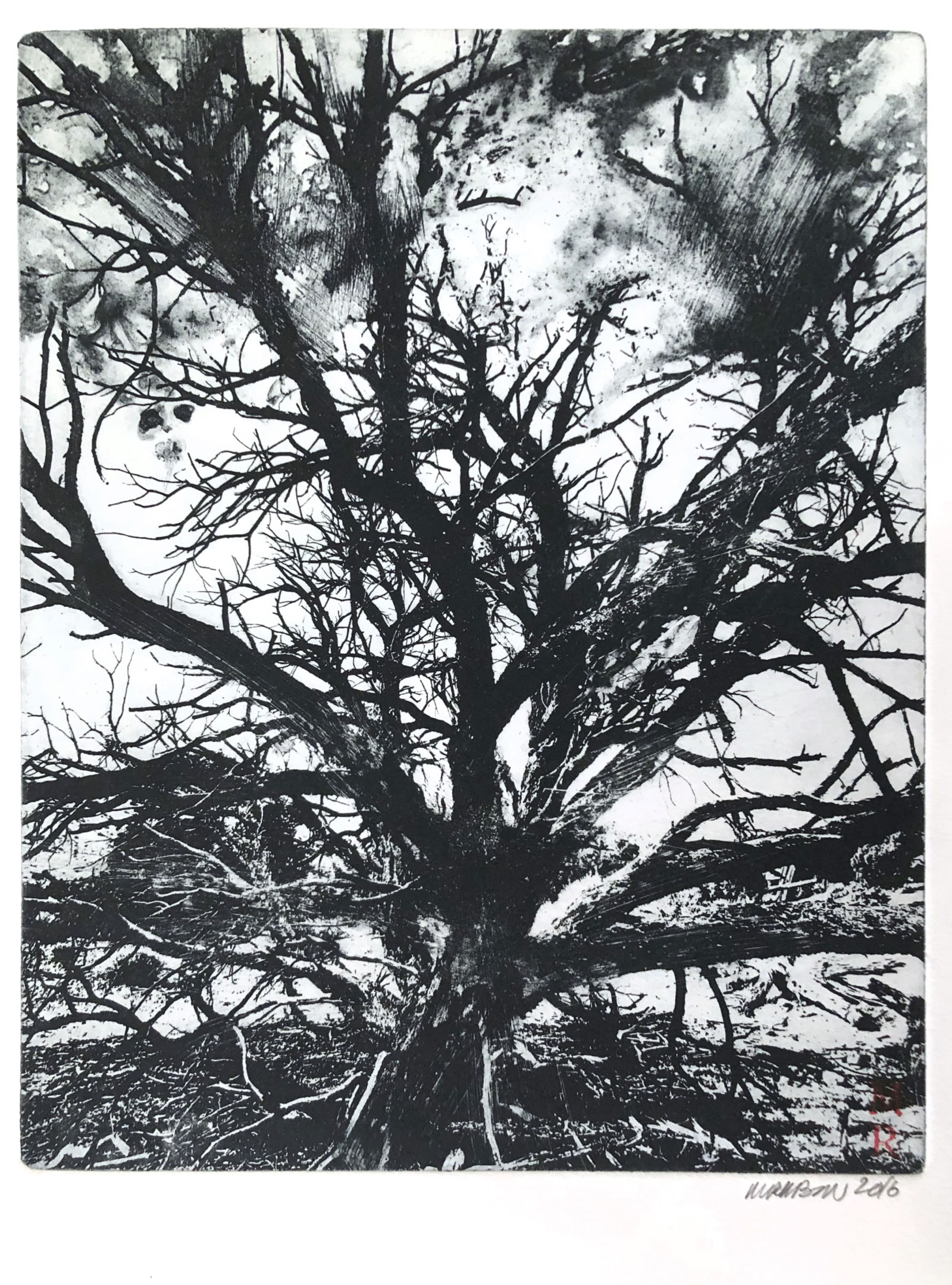 Melissa Rubin Burning Bush #1 2016