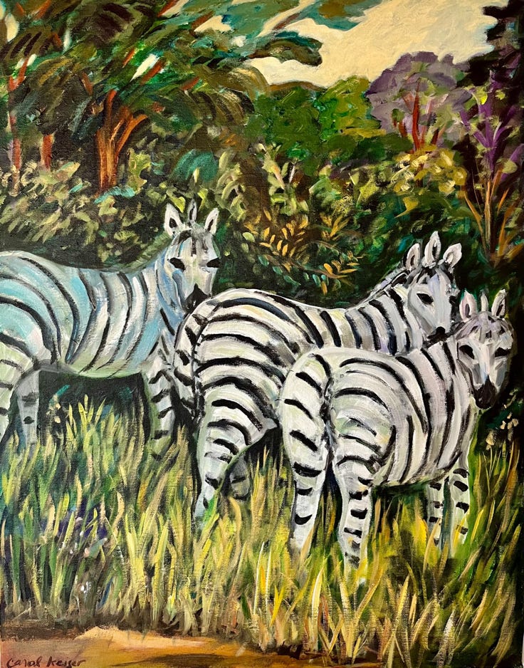 Carol Keiser Zebras, by the side of the road, Zambia 