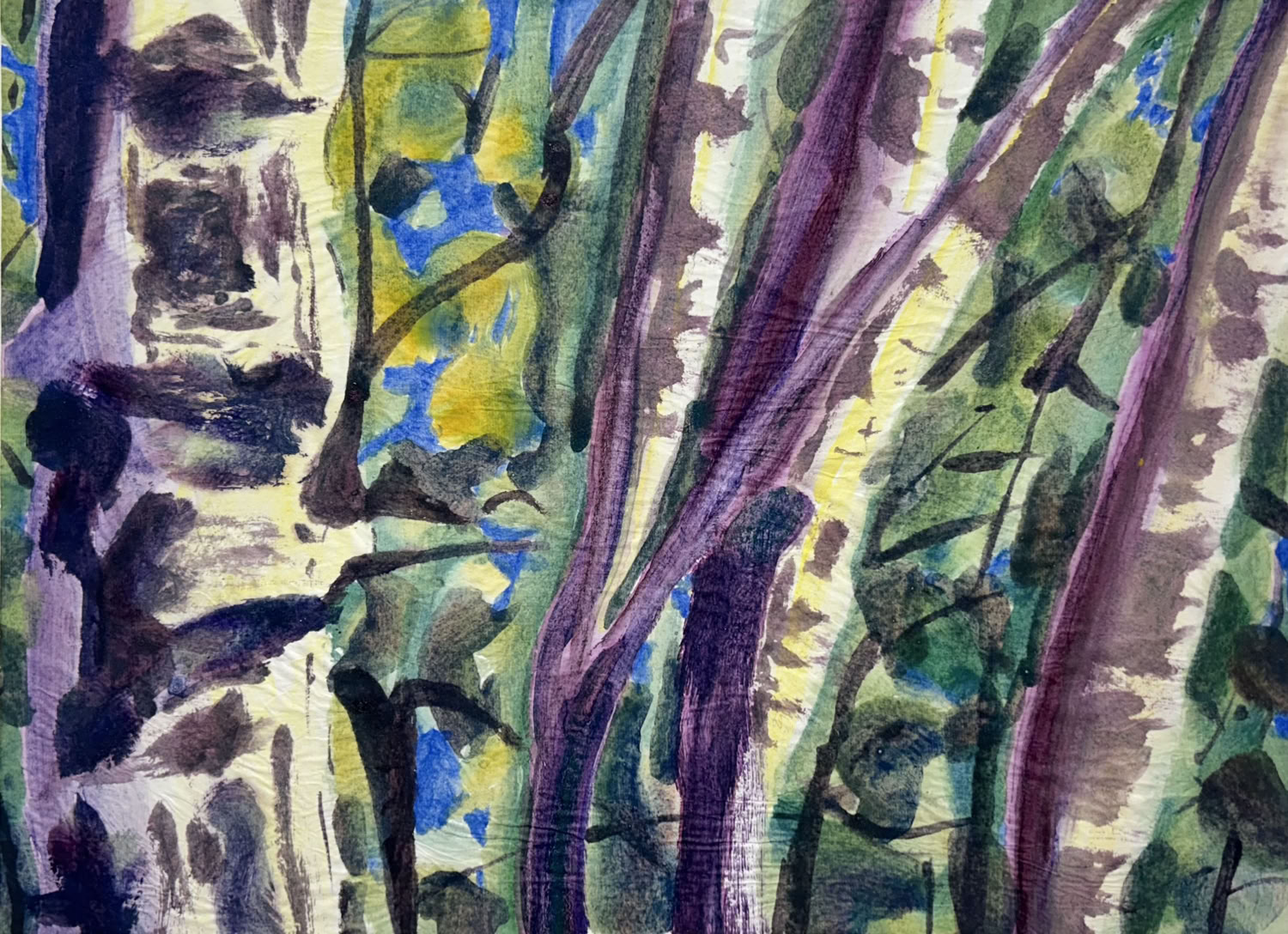 MC Noyes Vermont Trees 28