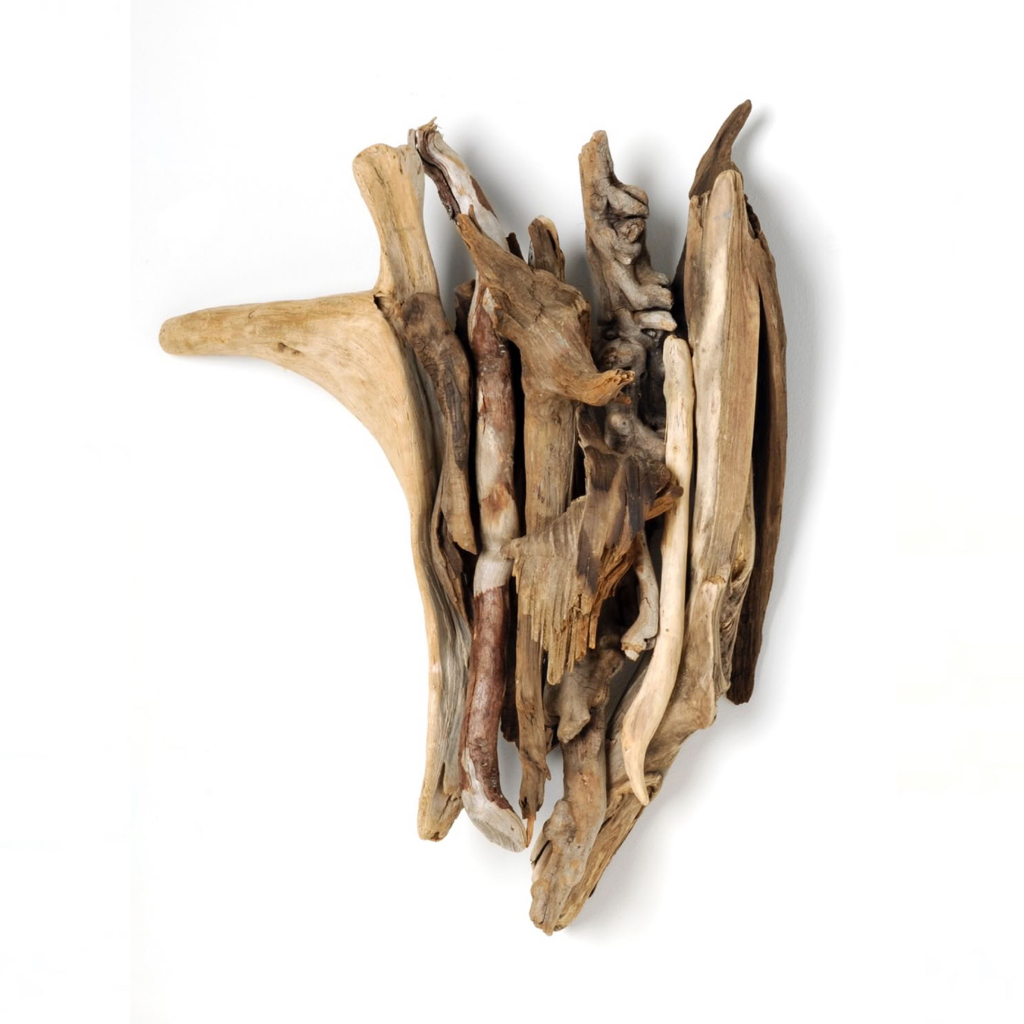 Phyllis Rosser Greater Falls 2016