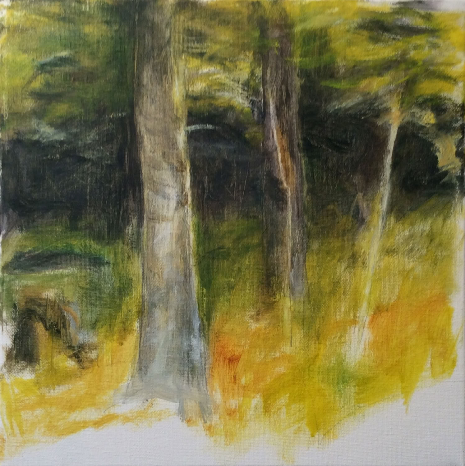 Jeanne McMahan Yellow Birch