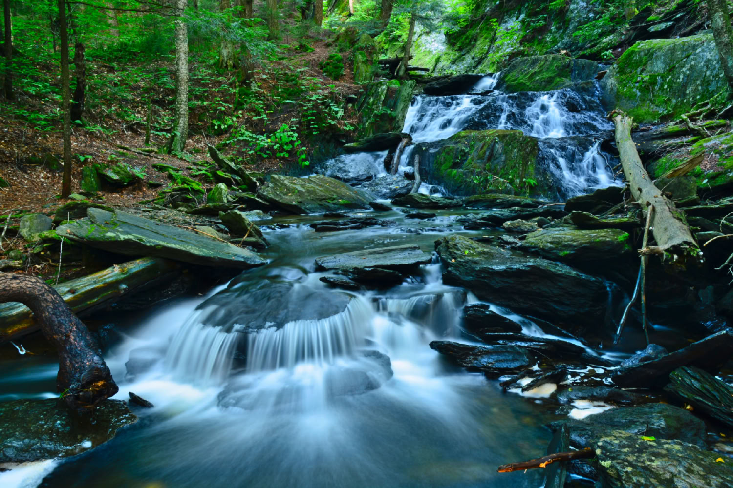 Amy Pandolfi Berkshires Waterfall I