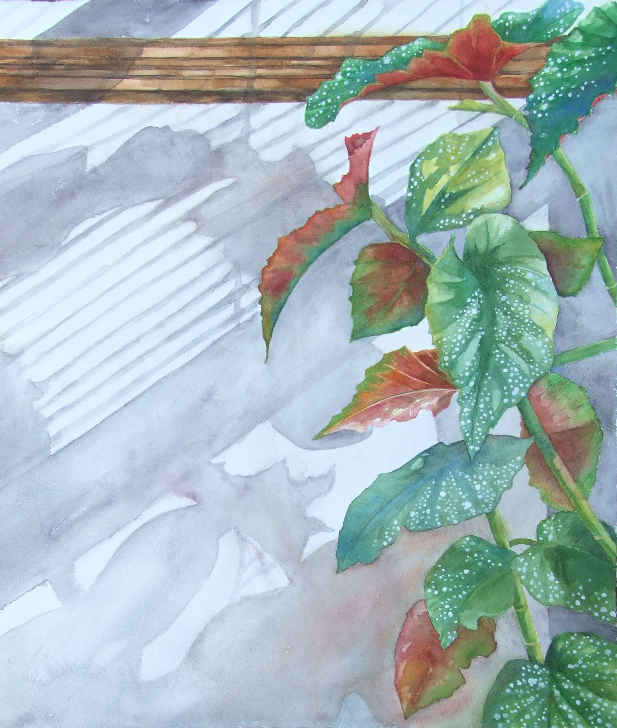 Jean Cannon Angel Wing