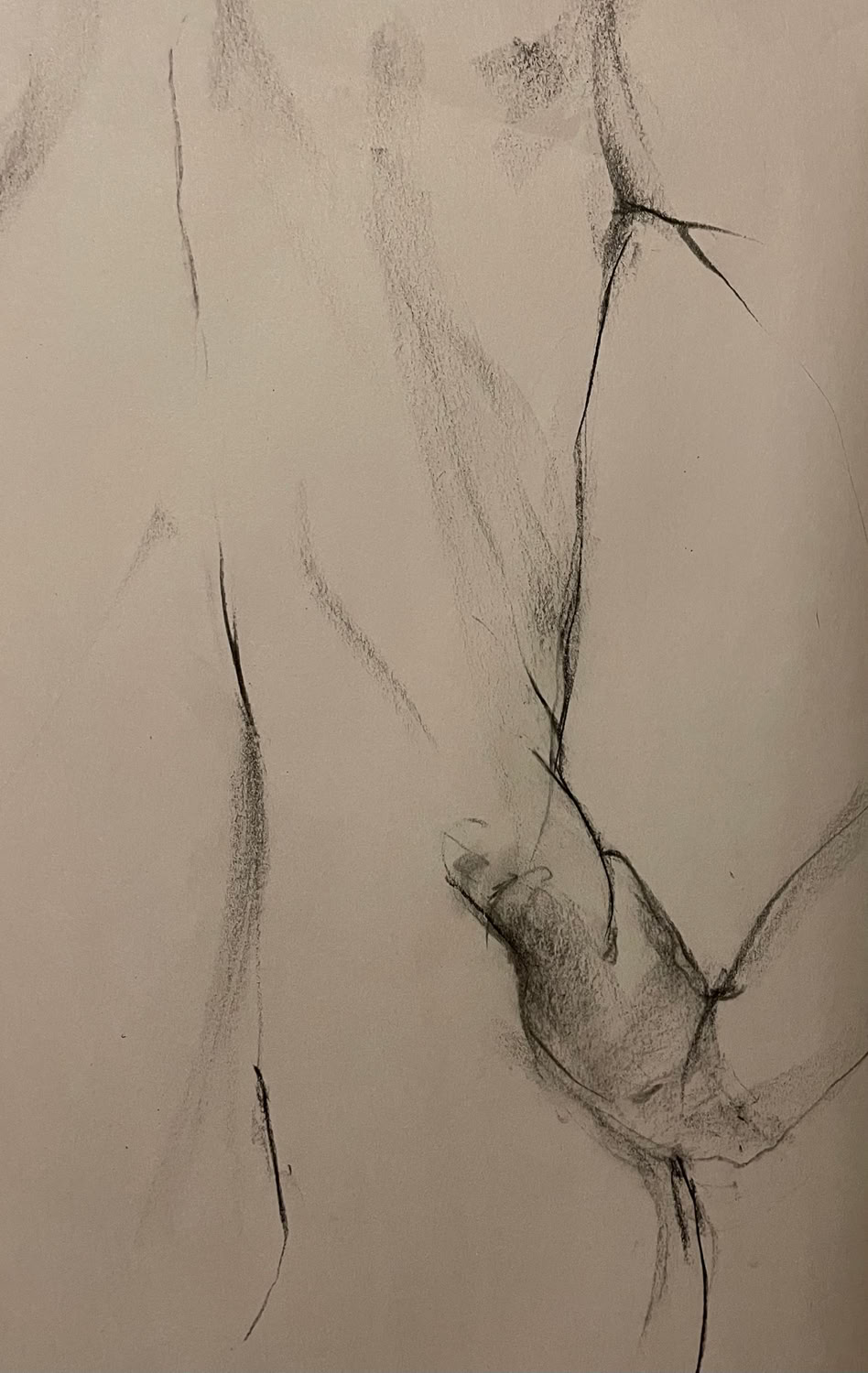 Kathy Lavine Nude 2022