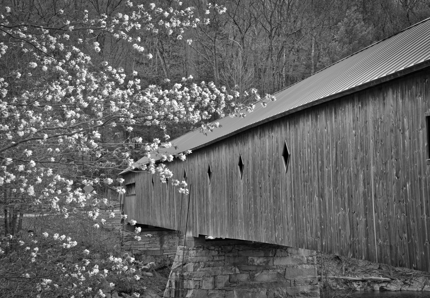 Linda Carlsen Sperry Bridge to Spring 