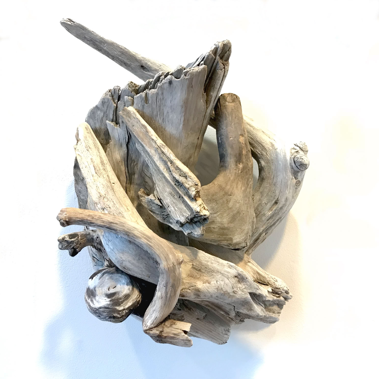 Phyllis Rosser Sea Breakers