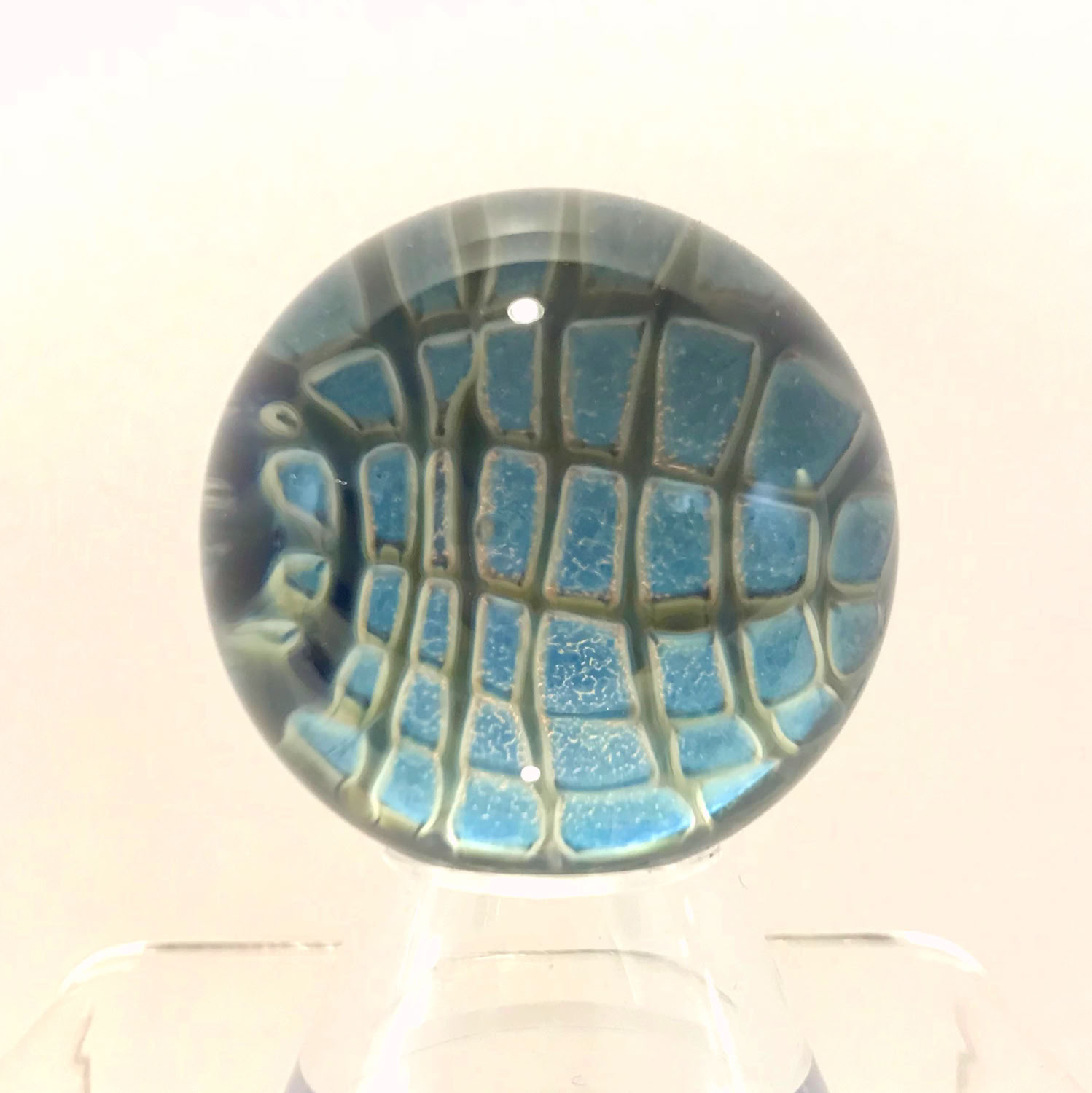 Aaron Slater Coral Element