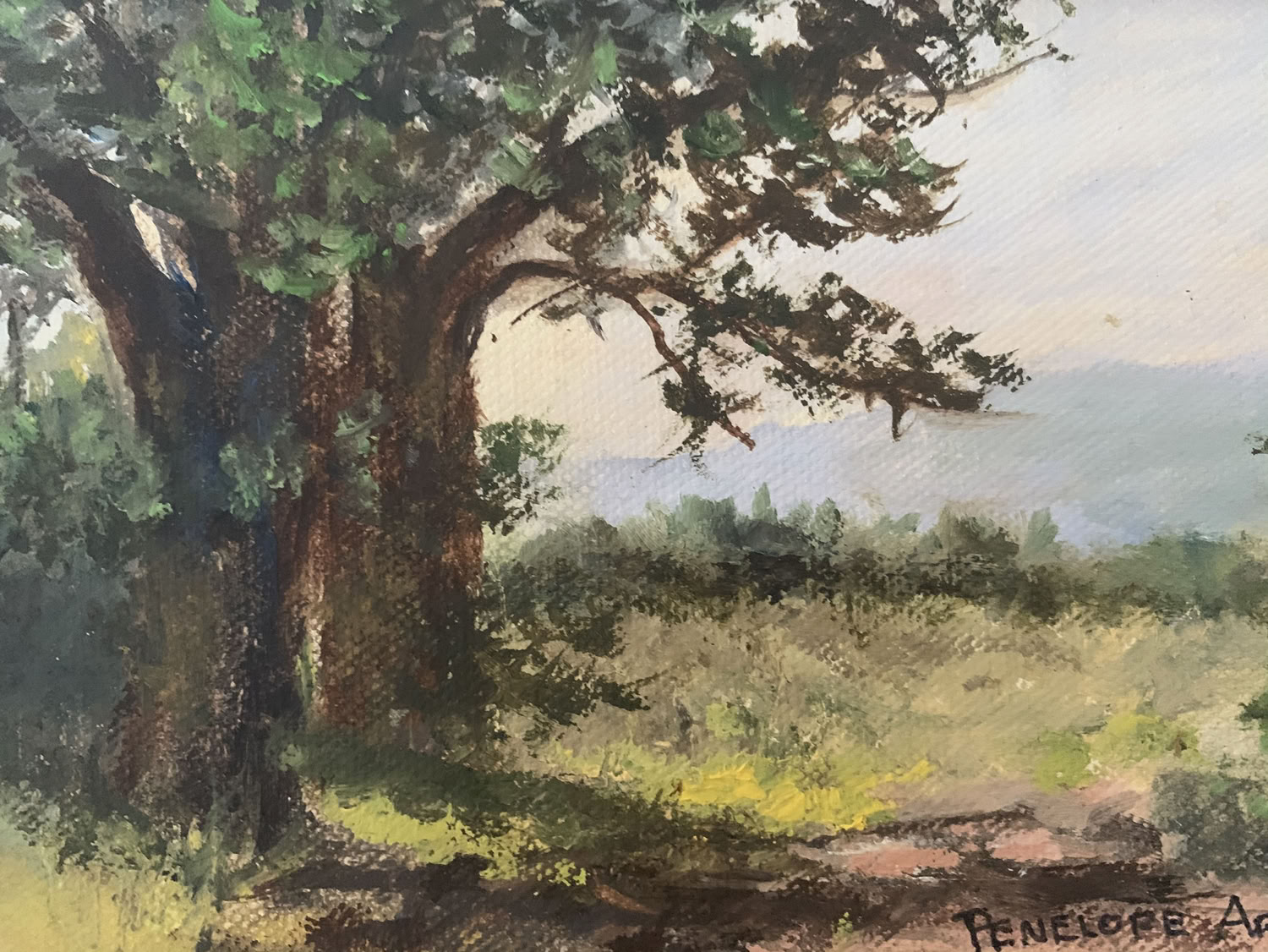 penelope-arms_peace_2020