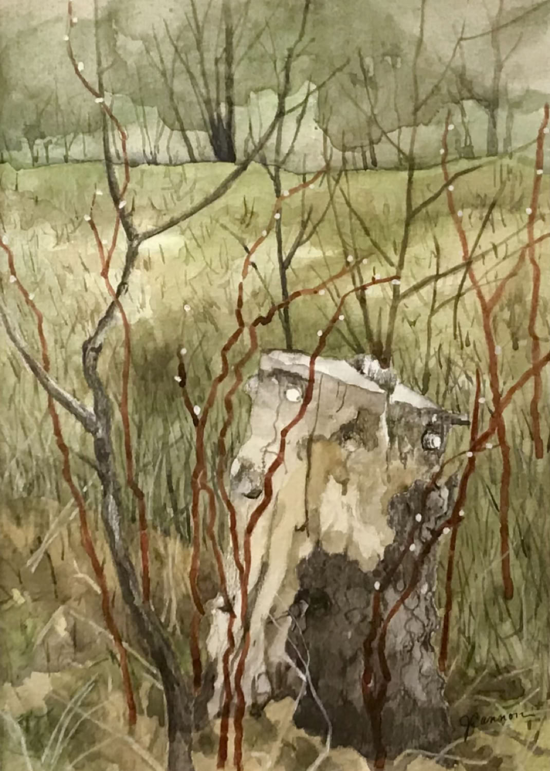 Jean Cannon Stump with Shoots 2020