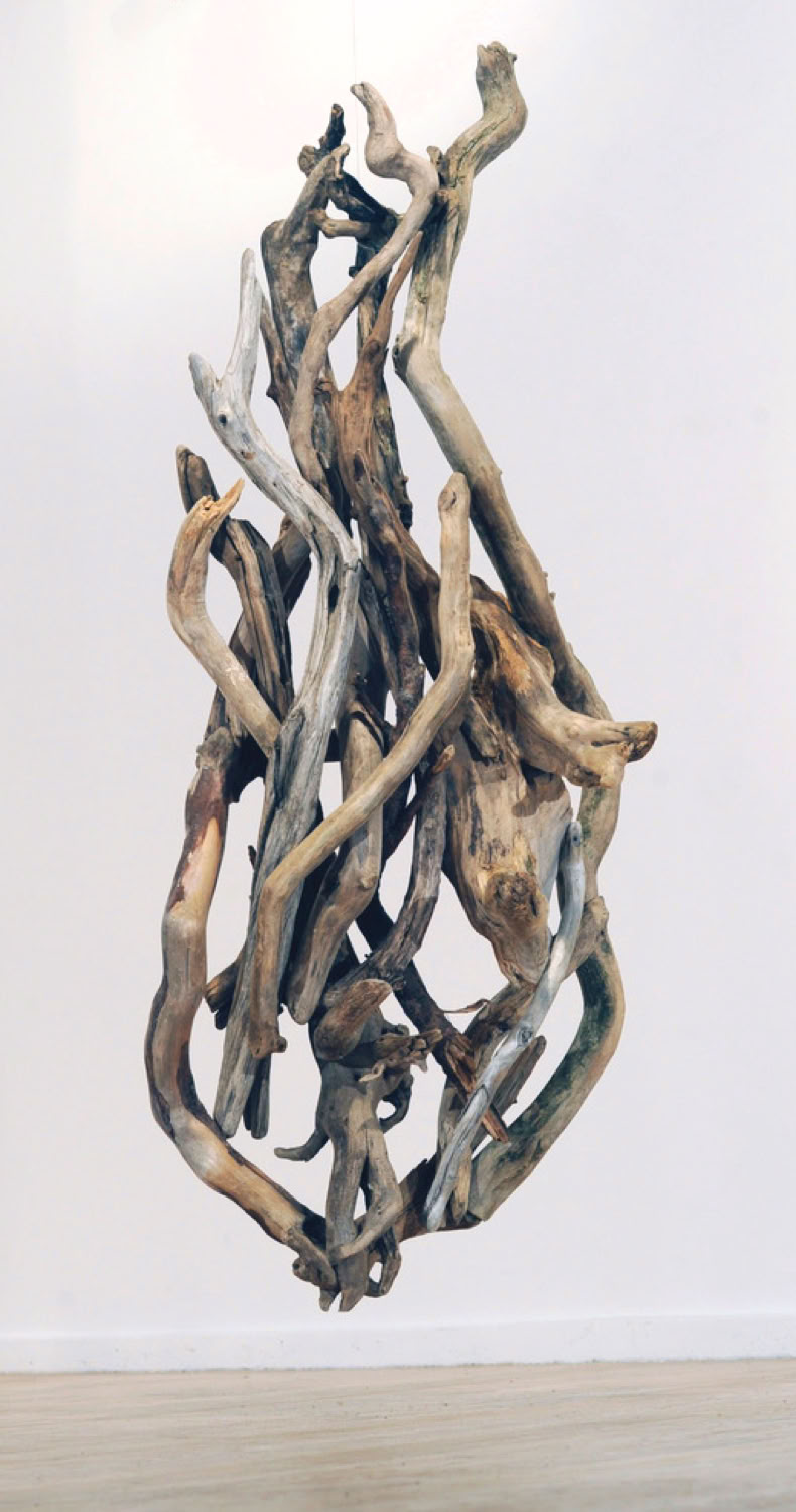 Phyllis Rosser Fragrant Pine