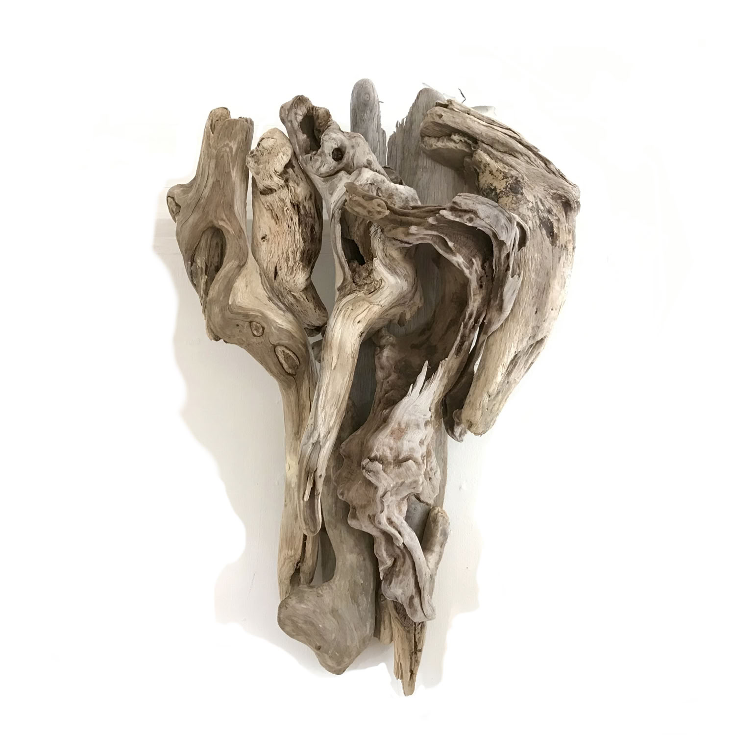 Phyllis Rosser White/Grey Sails  2020