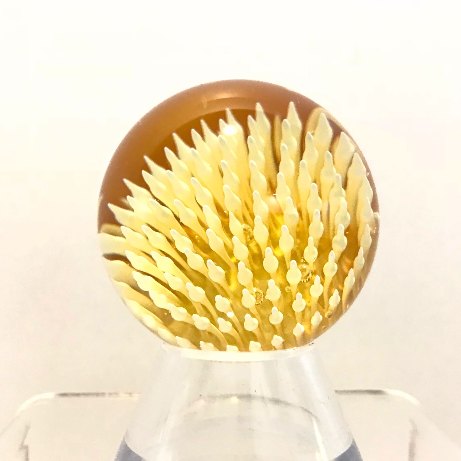 Aaron Slater Anemone Marble (medium, yellow)