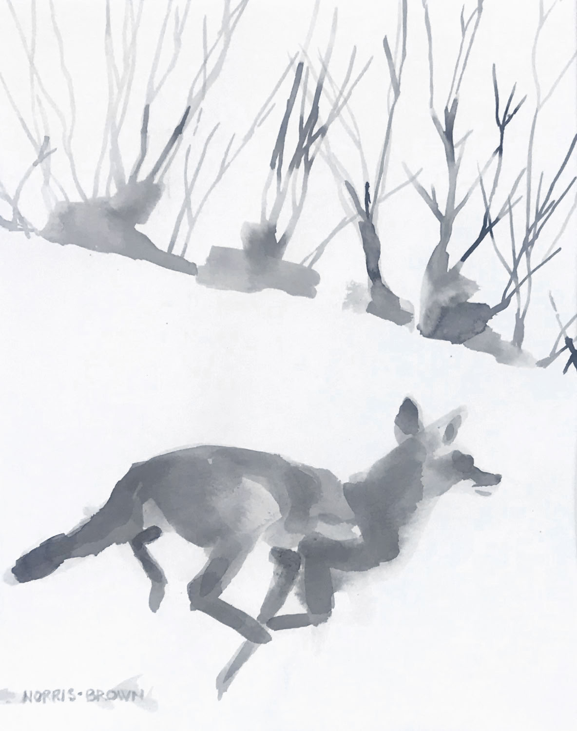 Charles Norris-Brown Running Coyote