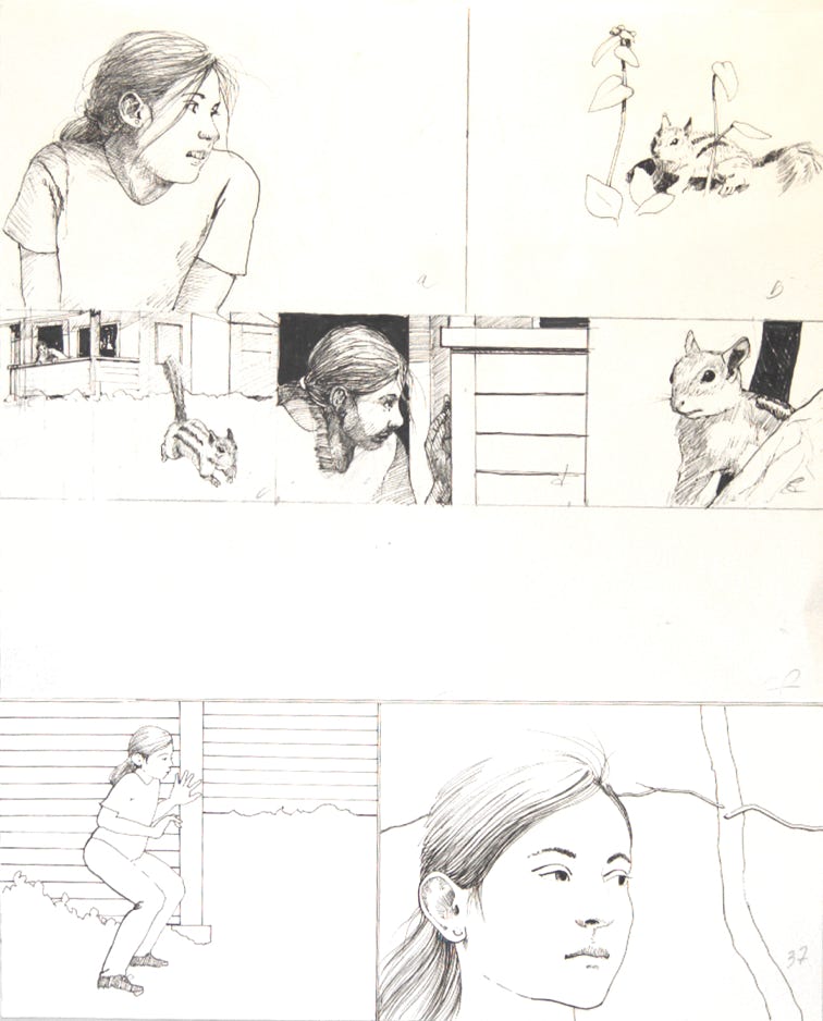 Charles Norris-Brown Thunder Basin, page 37 graphics
