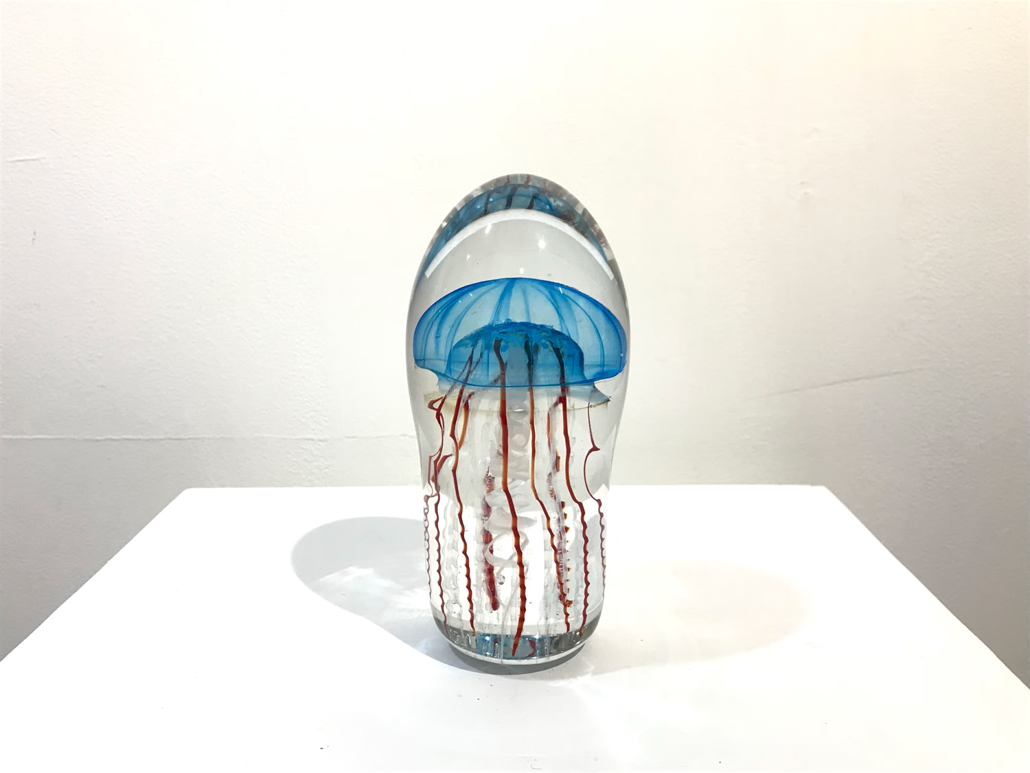 chris-sherwin_jellyfish-blue-