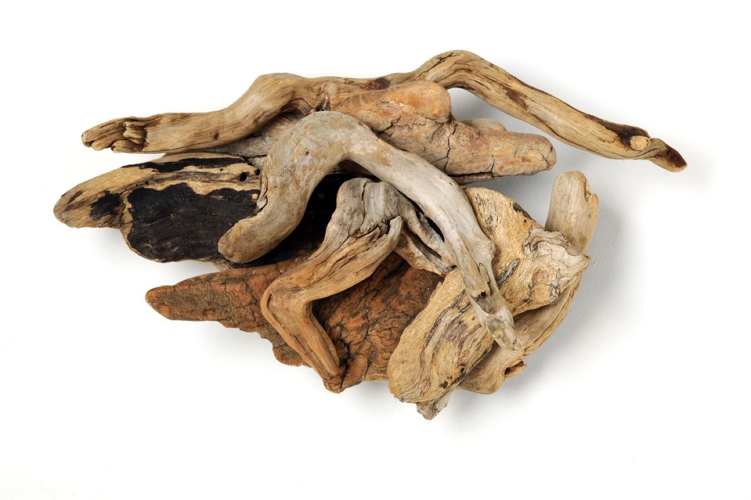 Phyllis Rosser Flying Cloud   