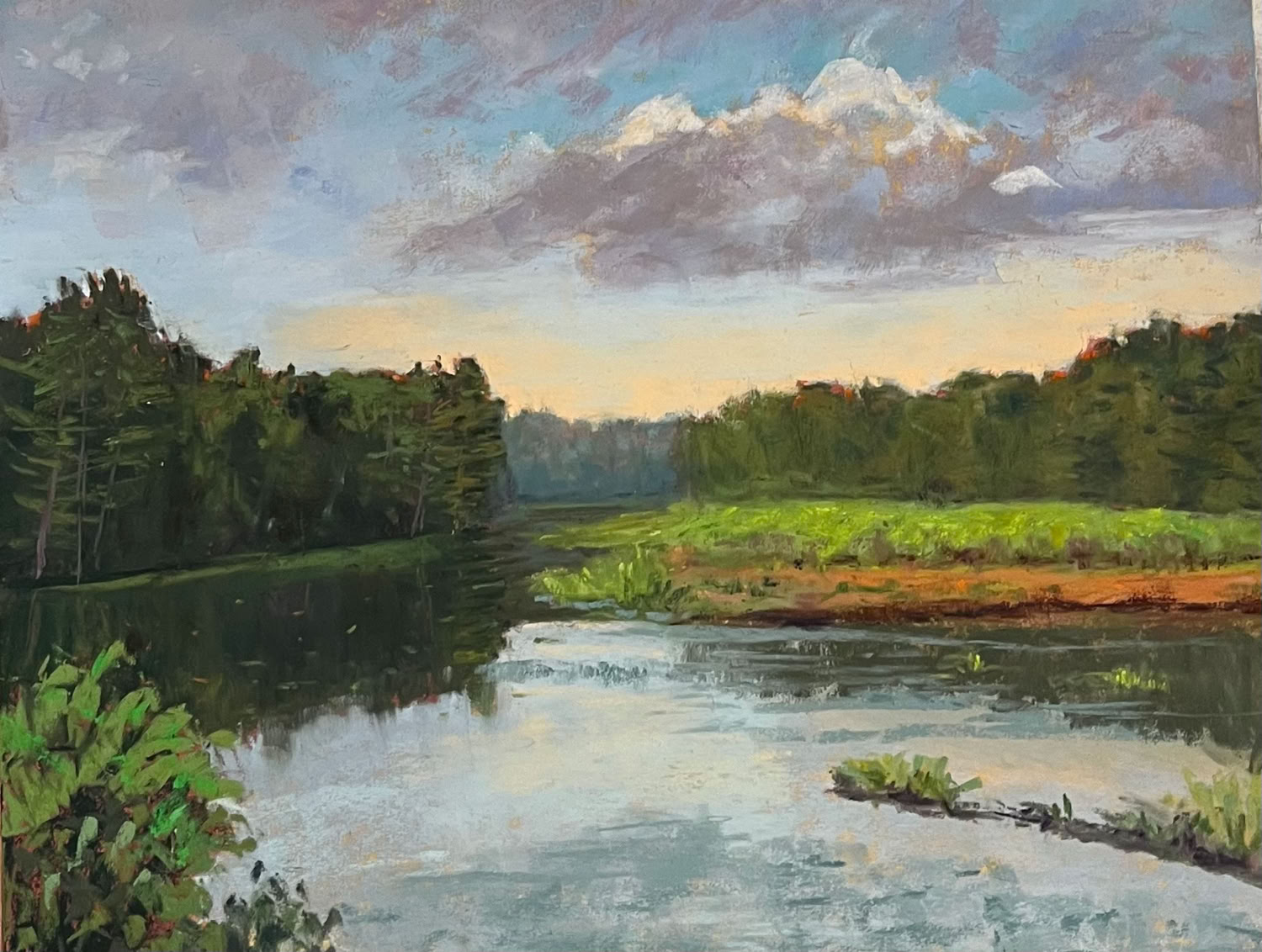 Deedee Jones Summer Afternoon