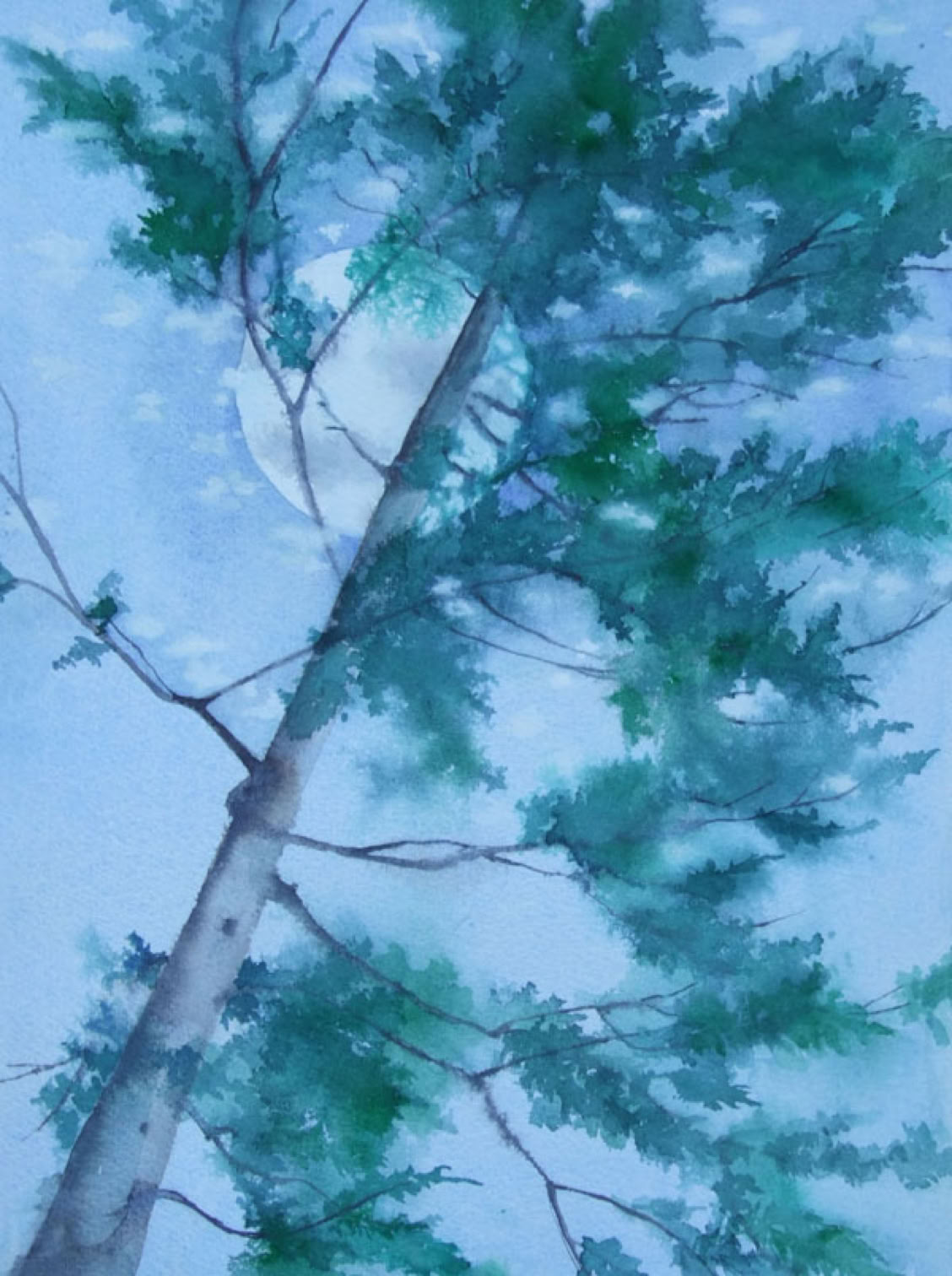 Jean Cannon Blowing Snow