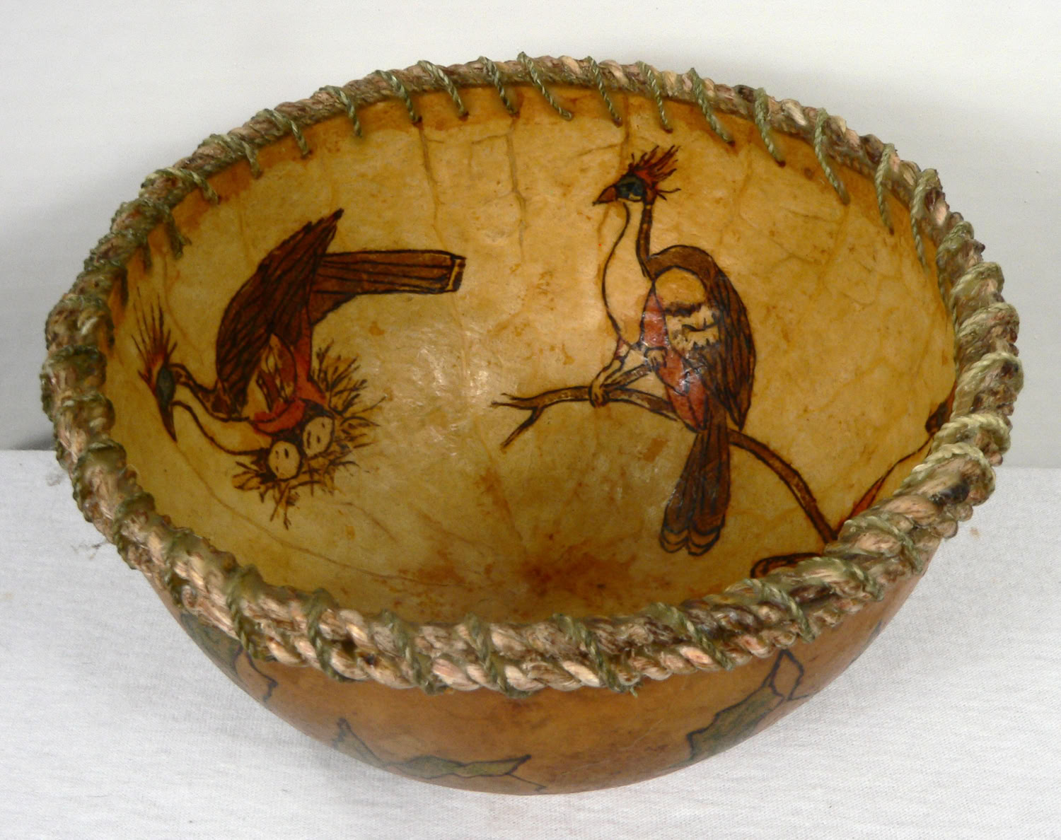 Kim Grall Hoatzins in a Bowl