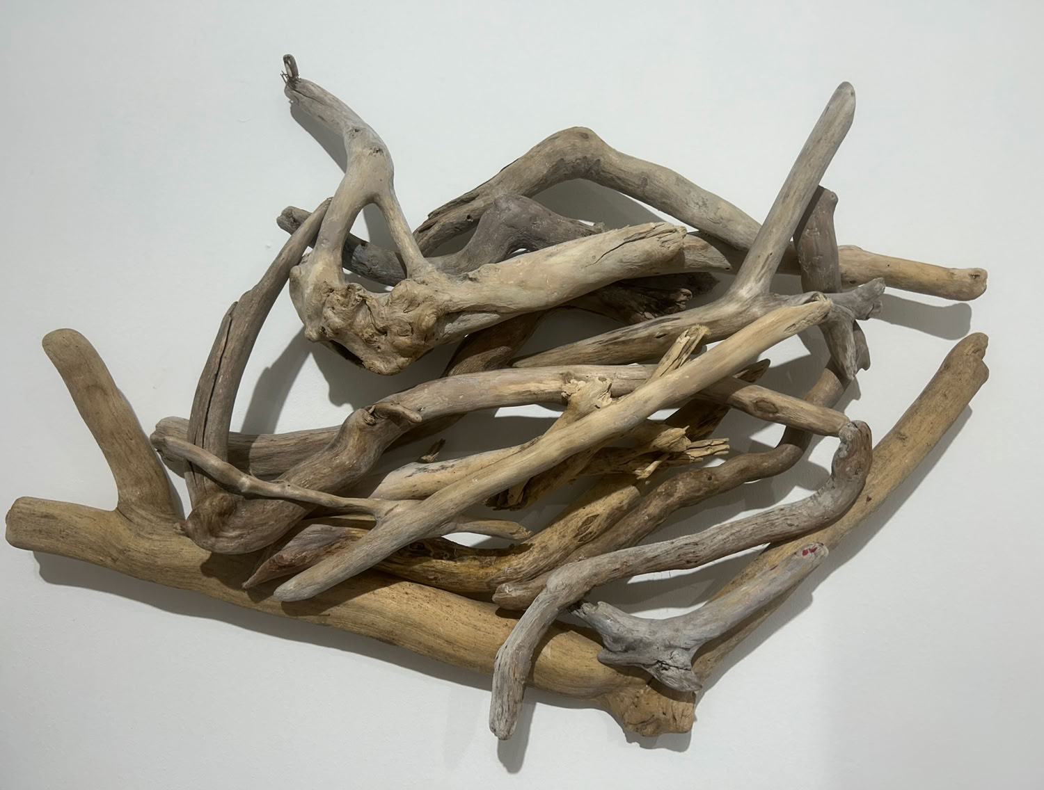 Phylis Rosser Winds of Change