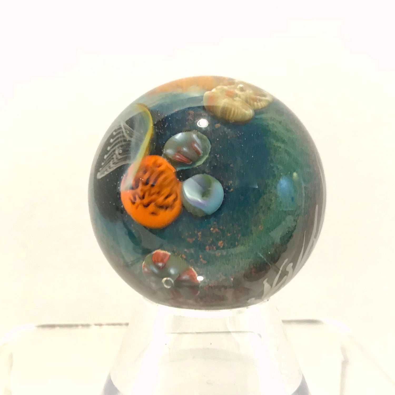 Aaron Slater Coral reef (small)