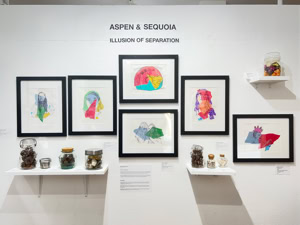 Aspen & Sequoiua Illysion of Separation