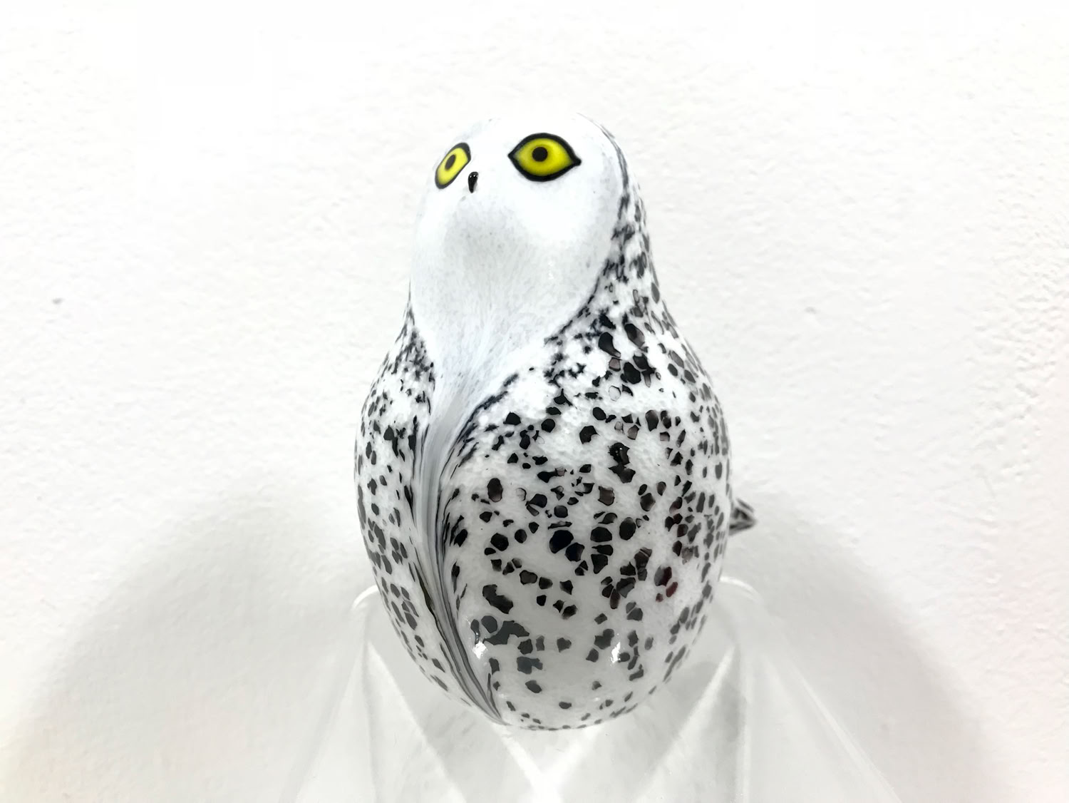 chris-sherwin_snowy-owl