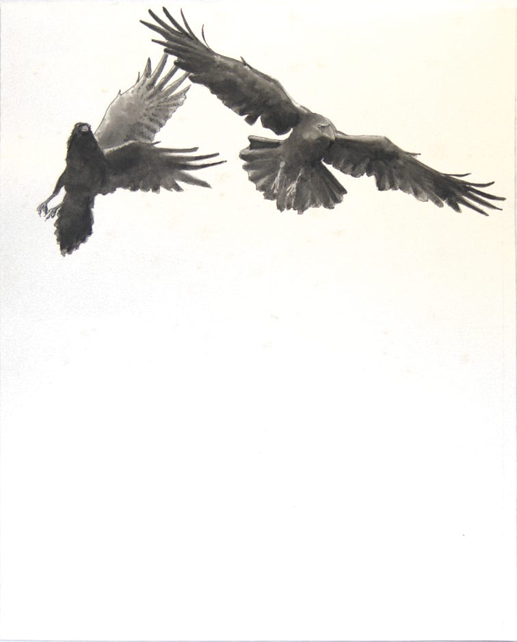 Charles Norris-Brown Thunder Basin, Ravens graphics